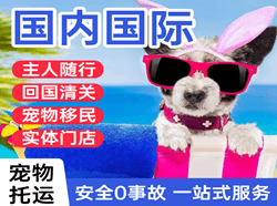 西昌航空邮寄国际宠物托运 【国